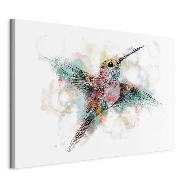 Colibrí colorido amplio - ave multicolor para niños