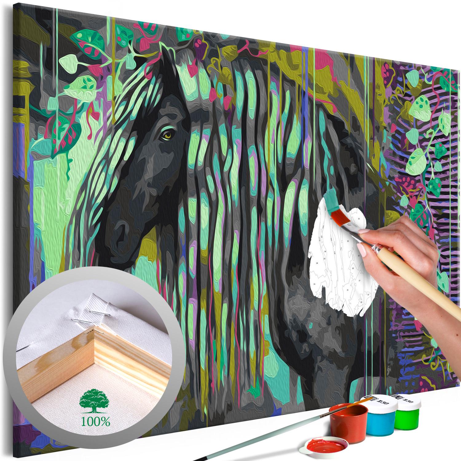 Cuadro numerado para pintar Dark Beauty - Long Haired Horse on an Abstract Colored Background