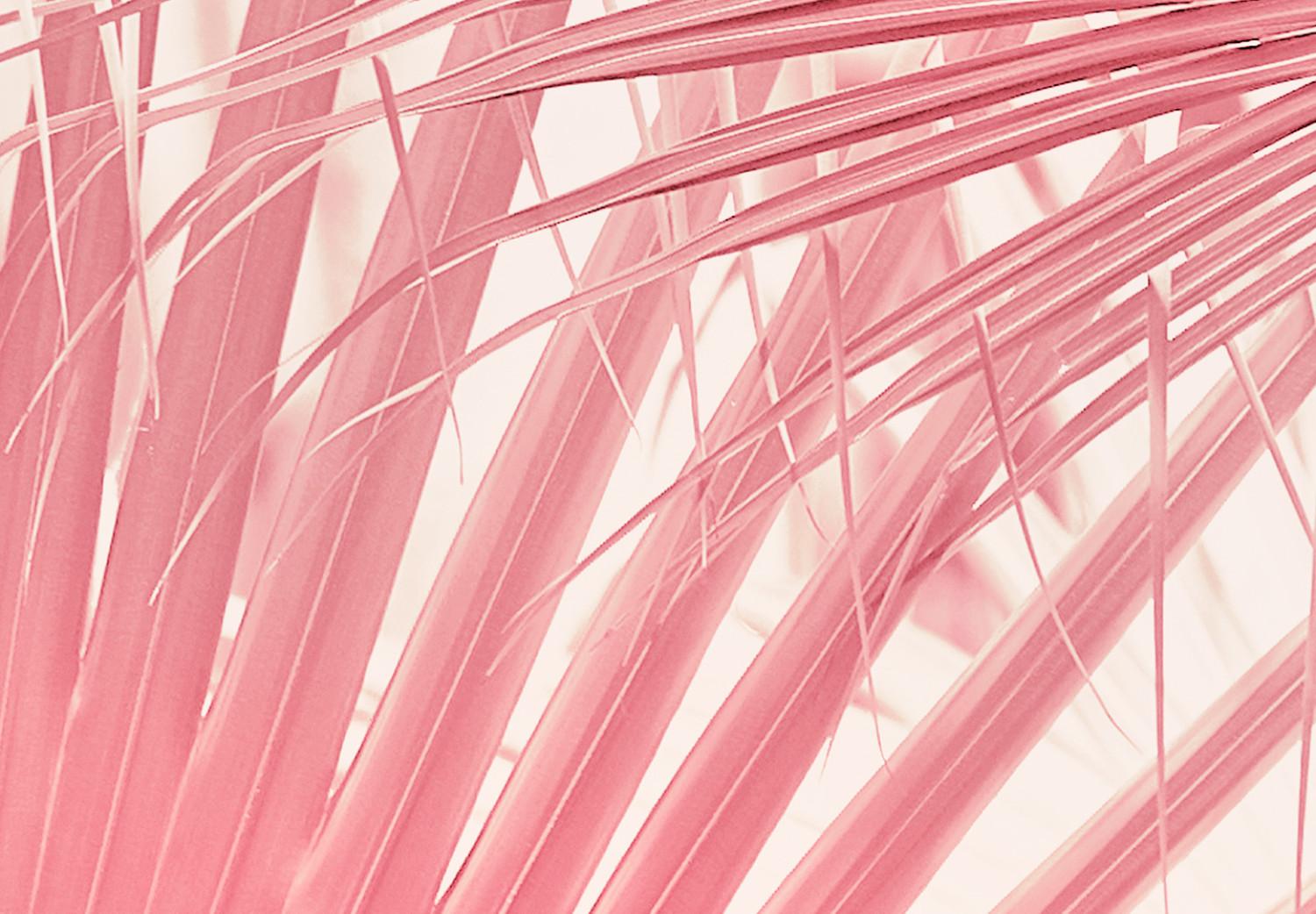 Cartel Pink Palm Trees - Leaves in Pastel Colors on a Sunny Day