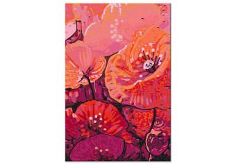 Cuadro numerado para pintar Coral Pink Poppies - Blooming Pink Flowers, Flower Buds