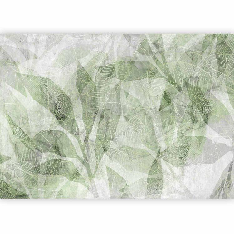 Sombra abstracta - Formas entrelazadas y contornos de hojas - verde