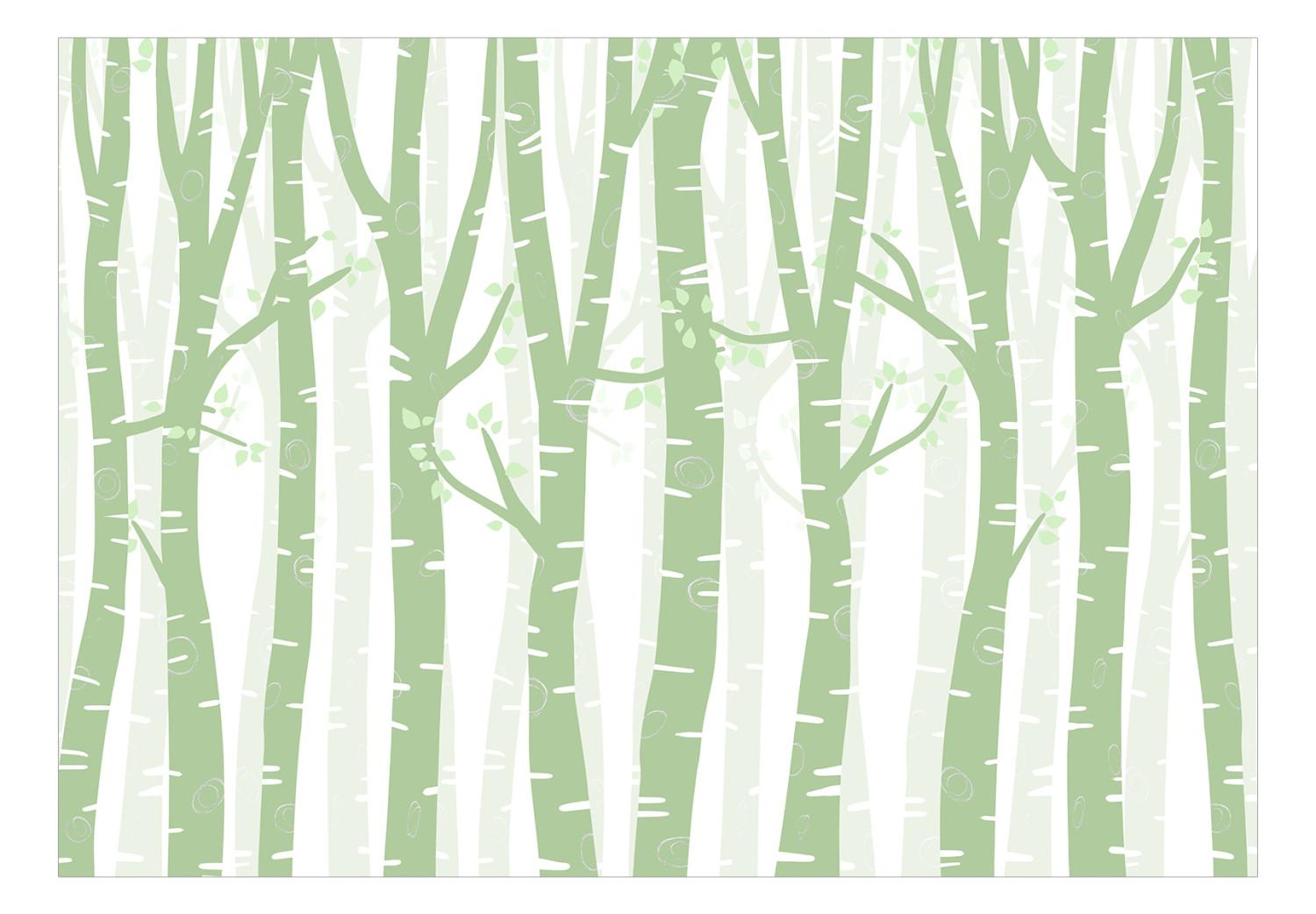 Fotomural Bosque pastel - árboles de abedul verdes con hojas claras
