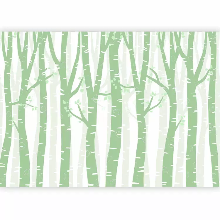 Bosque pastel - árboles de abedul verdes con hojas claras