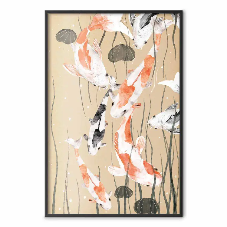 Carpa koi - carpa japonesa pintada flotando entre algas