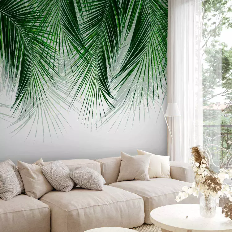 Bajo una planta tropical - ramas de palmera con hojas verdes
