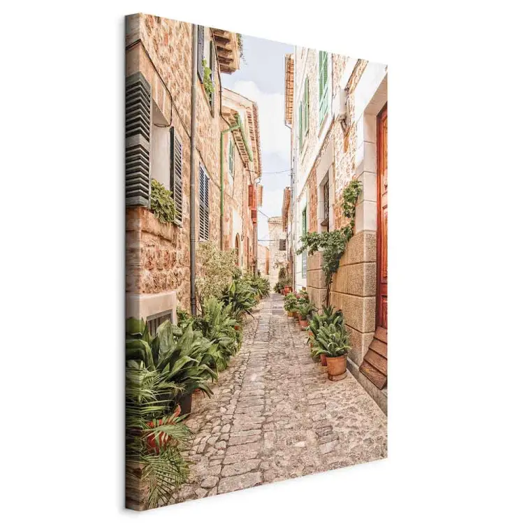 Calle tranquila - vista de la ciudad española y plantas