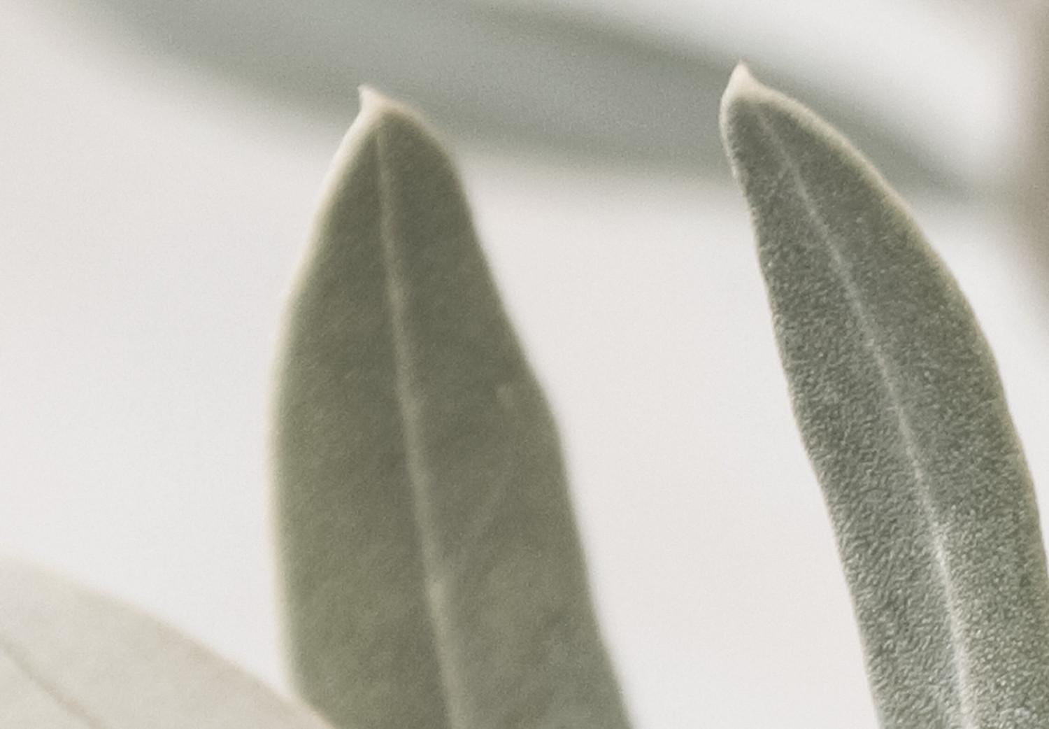 Cuadro Ramo de olivo (1 parte) - paisaje entre hojas sobre fondo claro