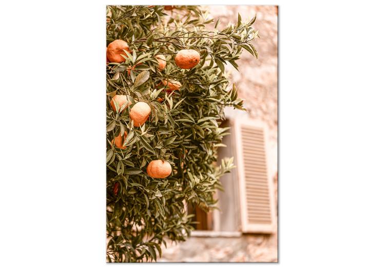 Frutas urbanas (1 parte) - árbol de mandarina sobre fondo de edificio