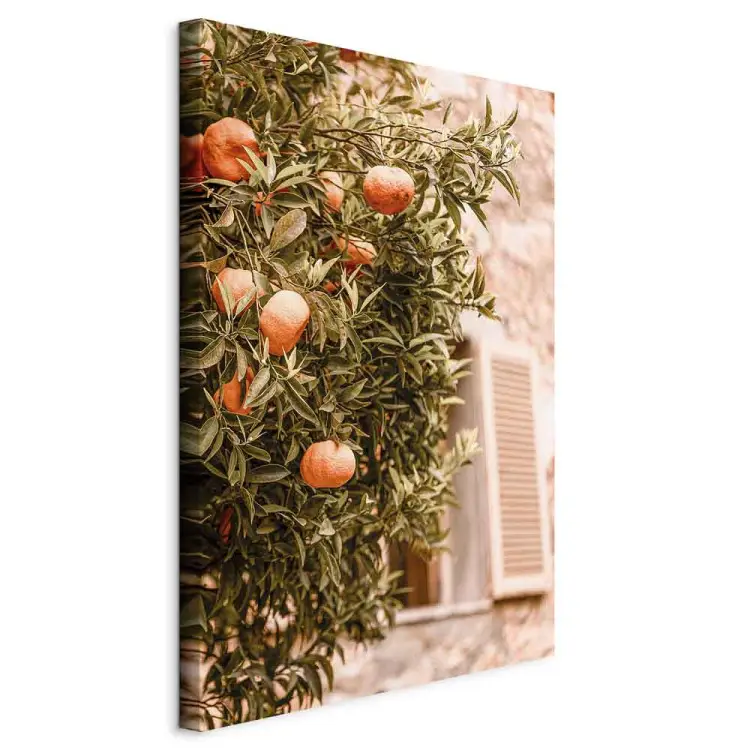 Frutas urbanas - árbol de mandarina sobre fondo de edificio