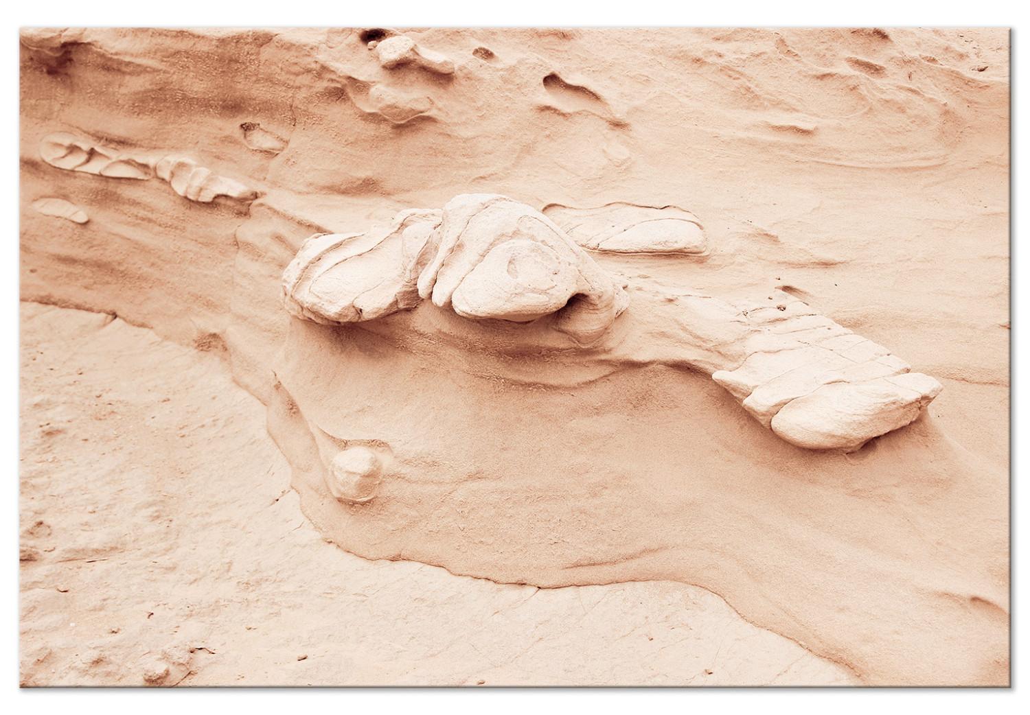 Cuadro decorativo Textura rocosa (1 parte) - paisaje natural con arena y piedras