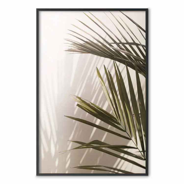 Hojas de palmera - vista soleada de un juego de sombras y luces