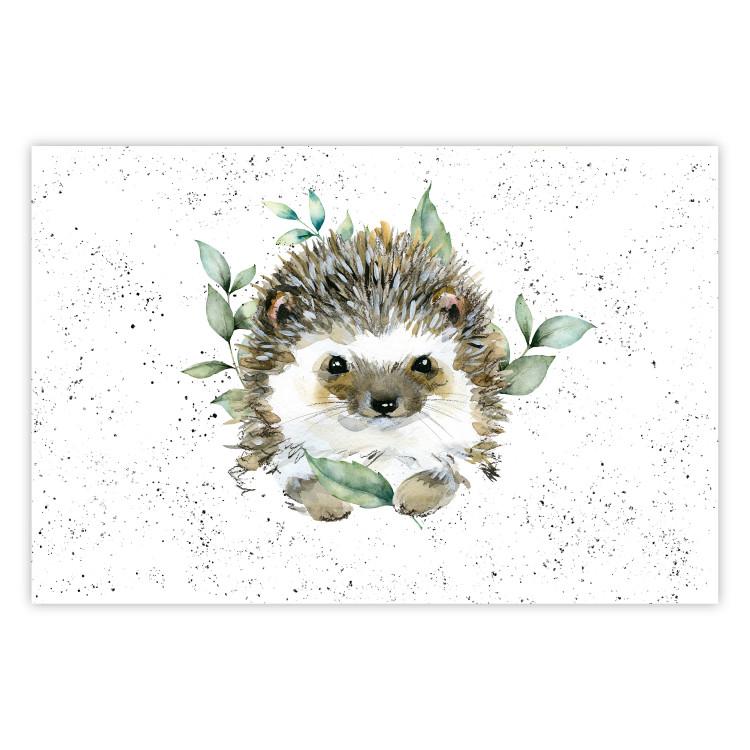 Hedgehog - Cute Painted Animals and Plants on a Polka Dot Background
