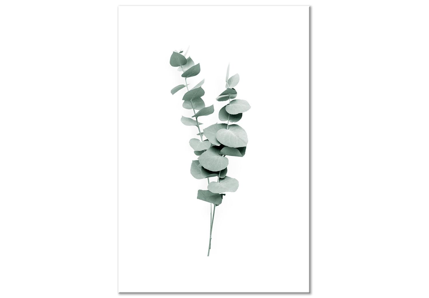 Cuadro Eucalyptus Twigs - Minimalist Plant Leaves on a White Background