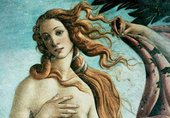 Cartel Venus - Fragment of a Painting by Sandro Botticelli
