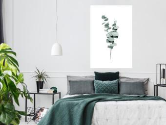 Cartel Eucalyptus Twigs - Minimalist Green Plant Leaves Isolated on White