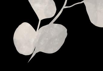 Cuadro decorativo Eucalyptus Twig - Minimalist Plant on a Black Background