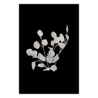 Poster Eucalyptus Twigs - Minimalist Leaves on a Dark Background