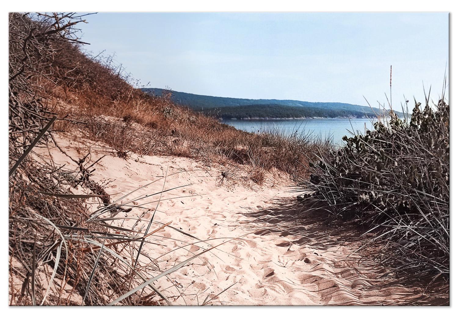 Cuadro moderno Descent to the Beach - Landscape of the Sea, Vegetation and a Sandy Road