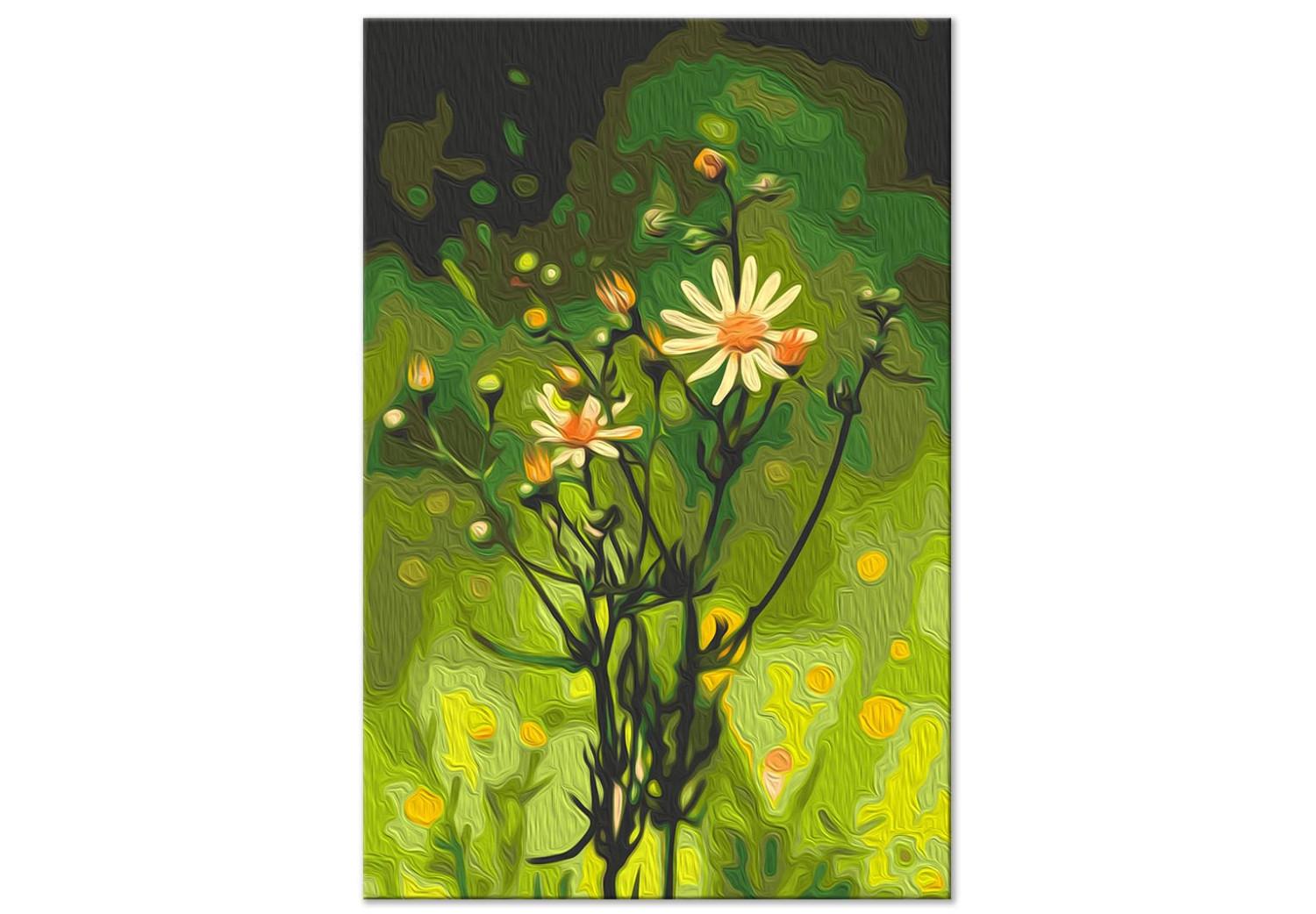 Cuadro para pintar por números Freshness of Nature - Delicate Summer Flower in a Green Meadow