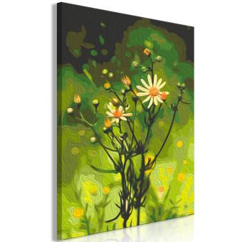 Cuadro para pintar por números Freshness of Nature - Delicate Summer Flower in a Green Meadow