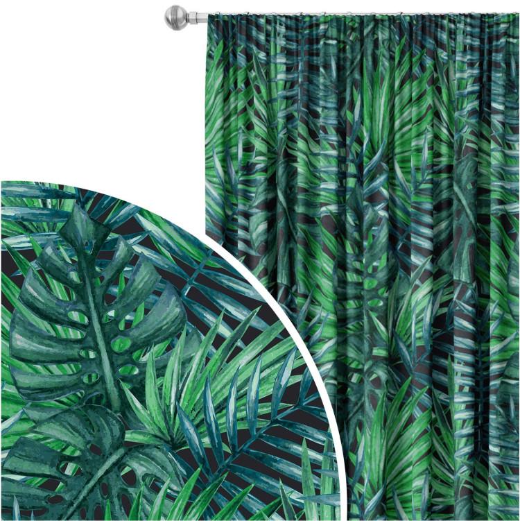 Palms and leaves - botanical composition, monstera in shades of green