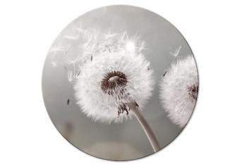 Cuadro redondos moderno Blown - Photo of a Blown Dandelion on a Gray-Beige Background