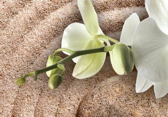 Cuadro redondos moderno In the Zen Garden - Japanese Composition With White Orchids on the Sand
