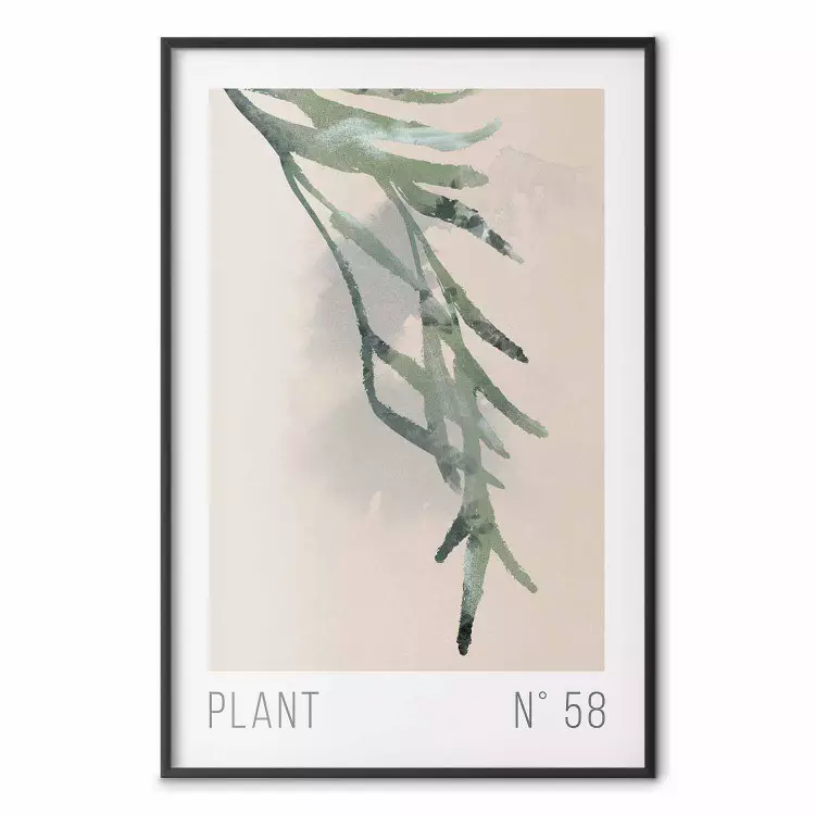 Planta número 58