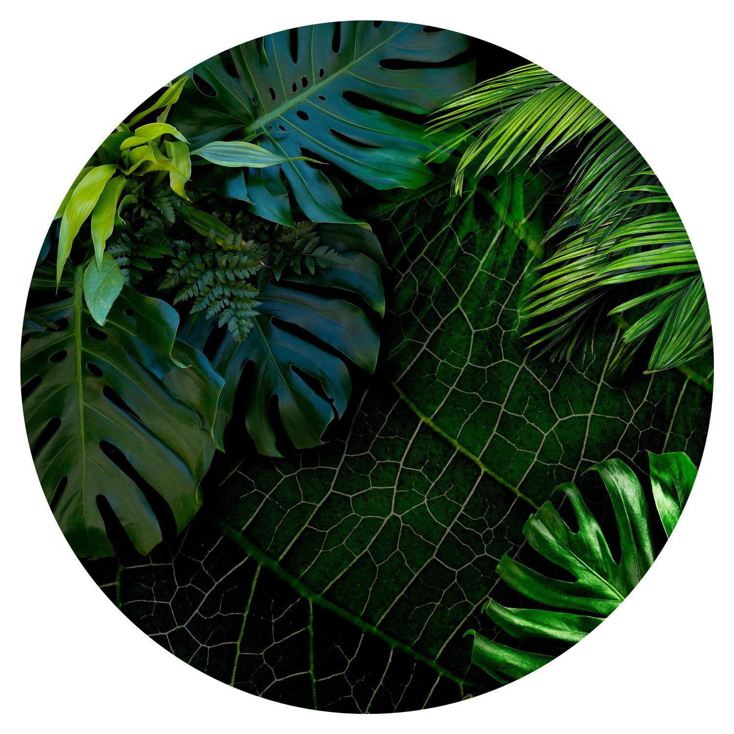 Fotomurales redondos Dark Jungle - Juicy Green Large Leaves Seen From Above