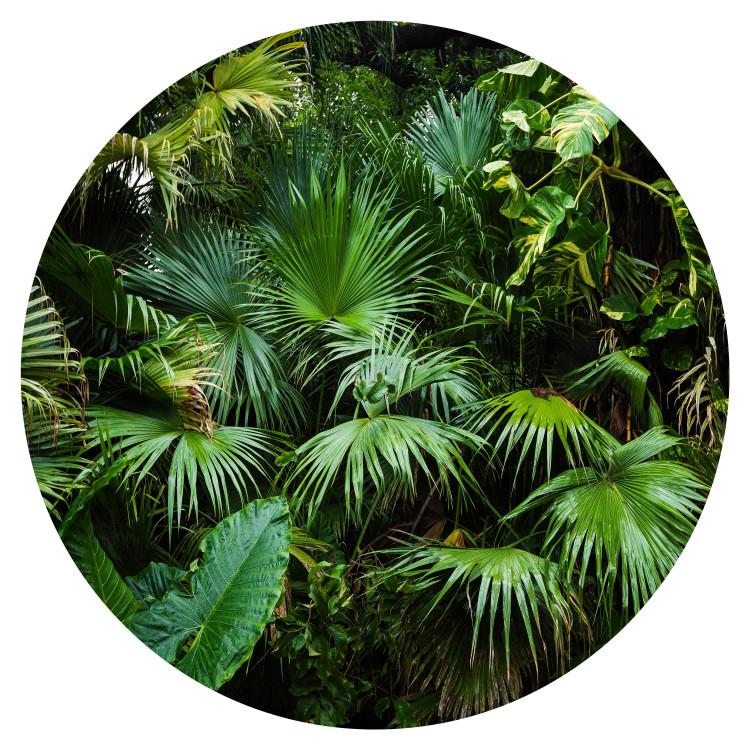 Jungle - Exotic Forest Vegetation in Green Colors