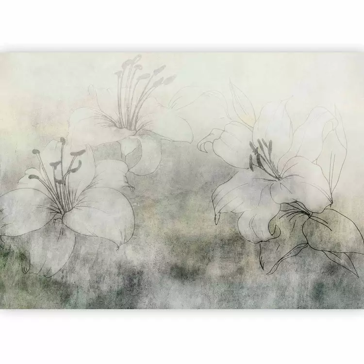 Florecer en la niebla - lirios blancos en fondo verde difuso