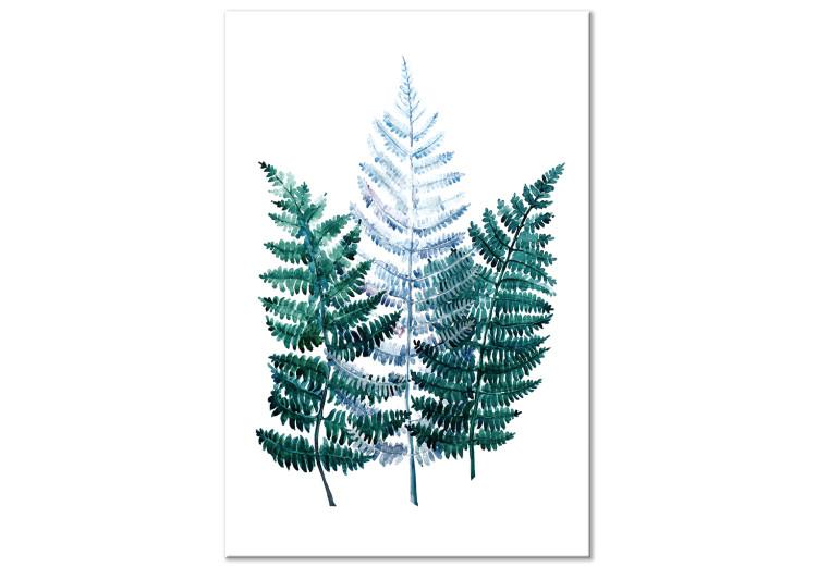 Cuadro en lienzo Fragrant Nature - Green Fern Leaves on a White Background