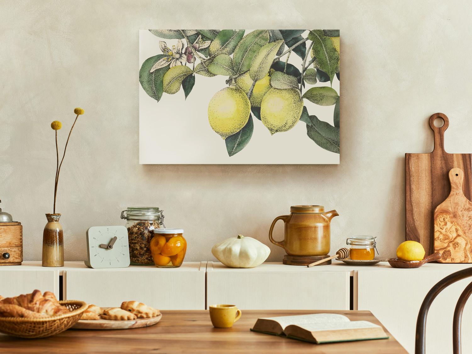 Cuadro decorativo Lemons and Leaves - Colorful Drawing of Citrus Fruits on the Tree