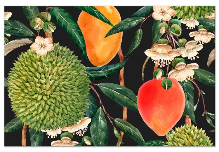 Frutas exóticas (1-parte) - plantas tropicales sobre fondo negro
