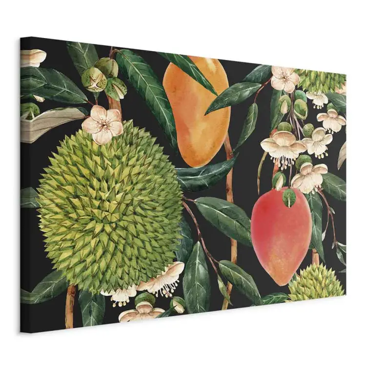 Frutas exóticas - plantas tropicales sobre fondo negro