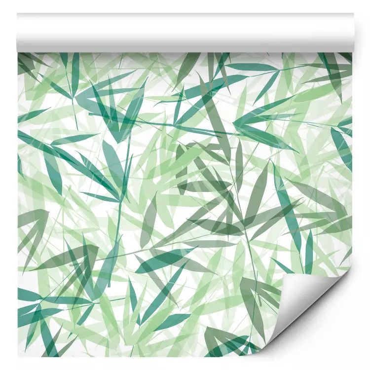 Hojas verdes - naturaleza