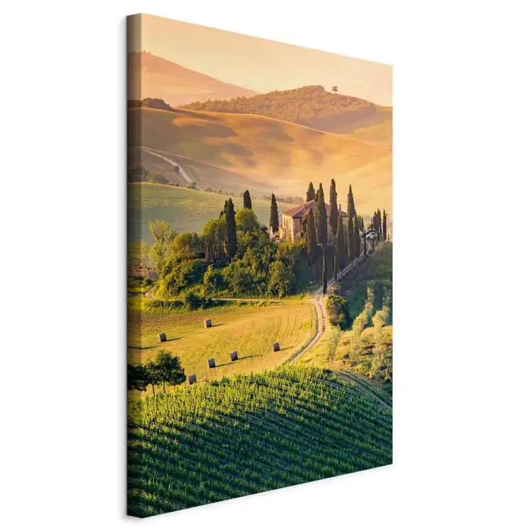 Campos soleados de la Toscana - fotografía de paisaje al atardecer