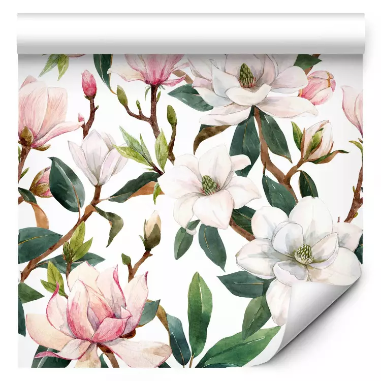 Hermosa magnolia - flores blancas y rosadas en ramas