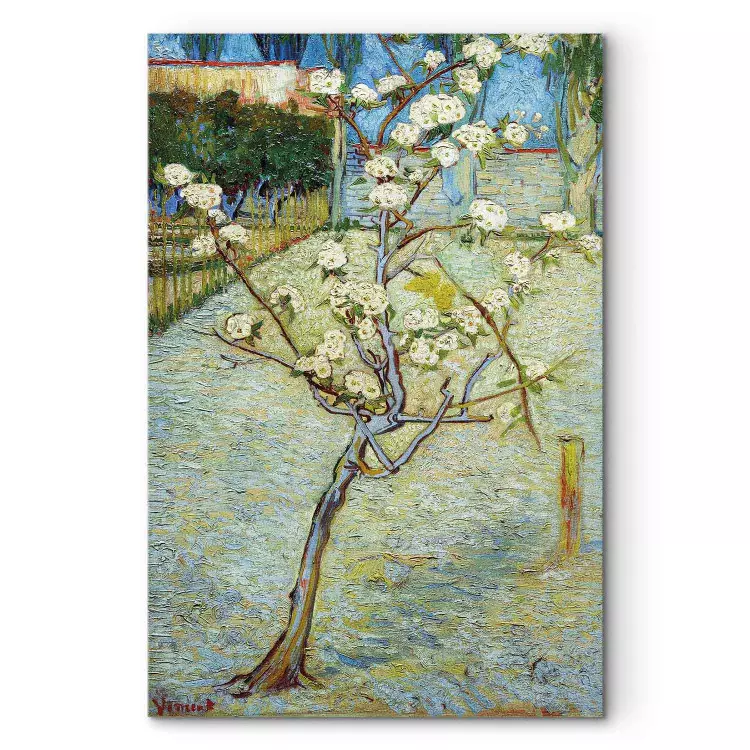 Reproducción de cuadro Blossoming Pear Tree