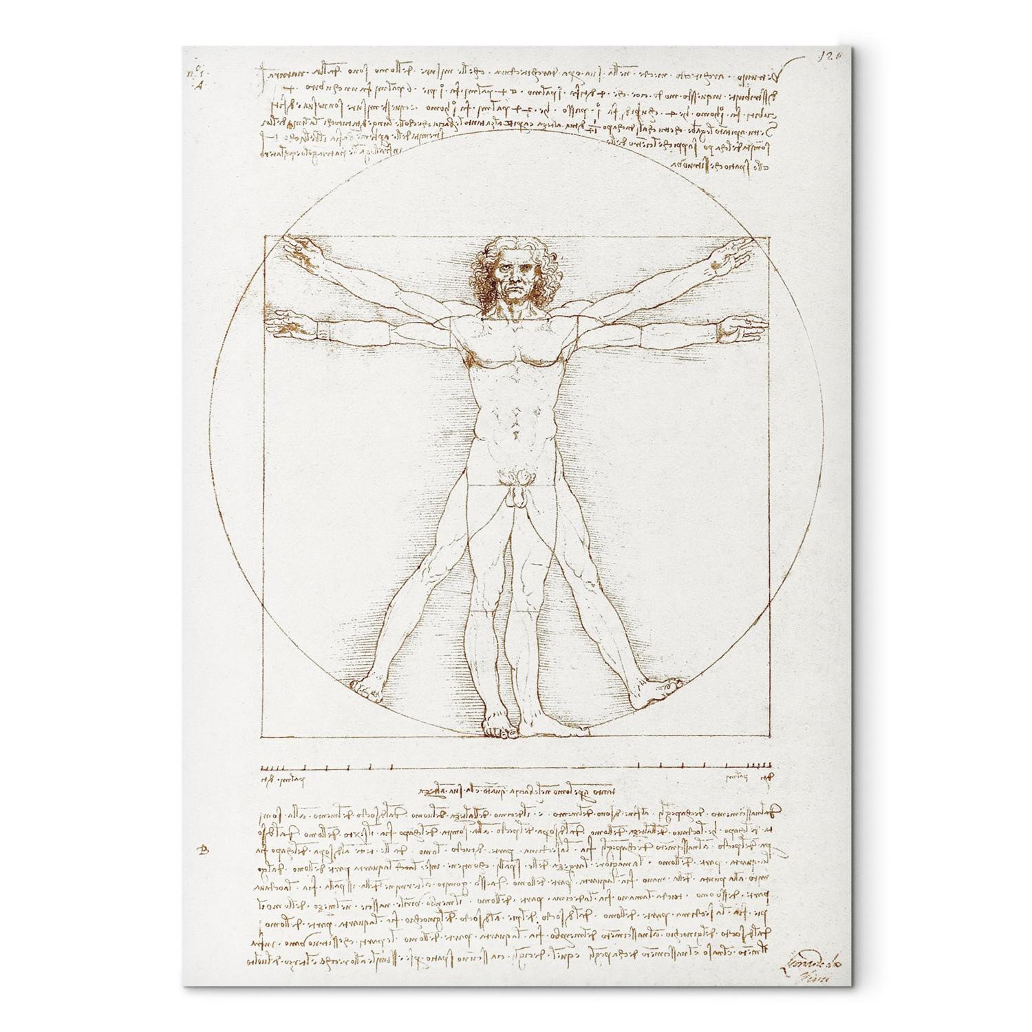 Reproducción Vitruvian Man (Proportions of the human body according to Vitruvius)