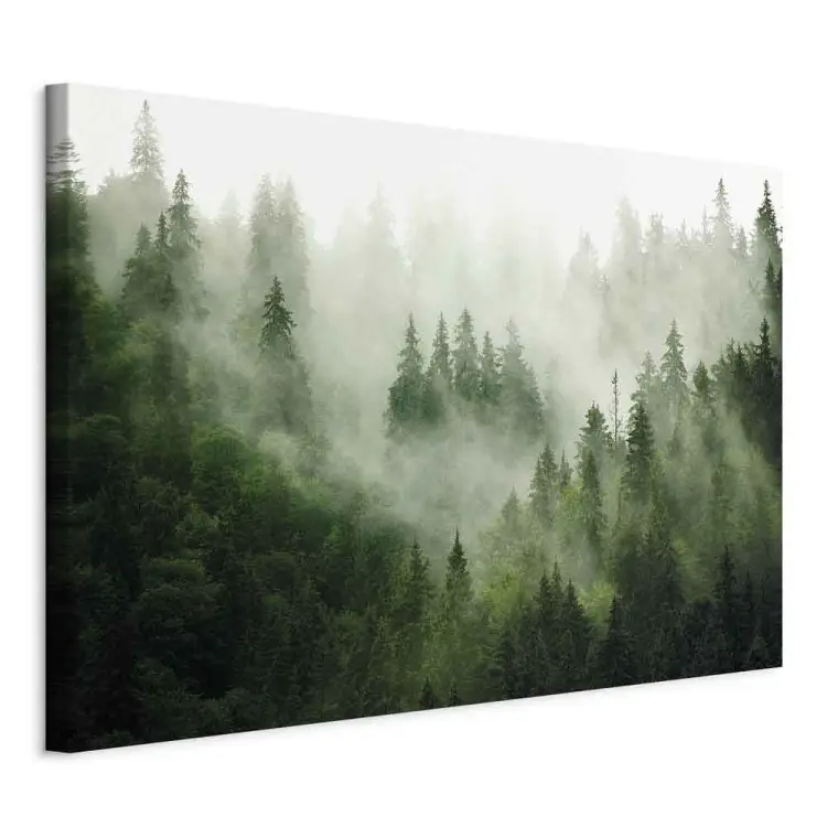 Bosque de montaña - vista de coníferas verdes cubiertas de niebla