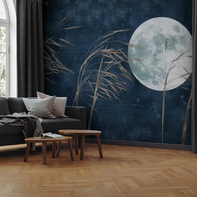 Luna llena - hierbas altas sobre un cielo nocturno azul oscuro