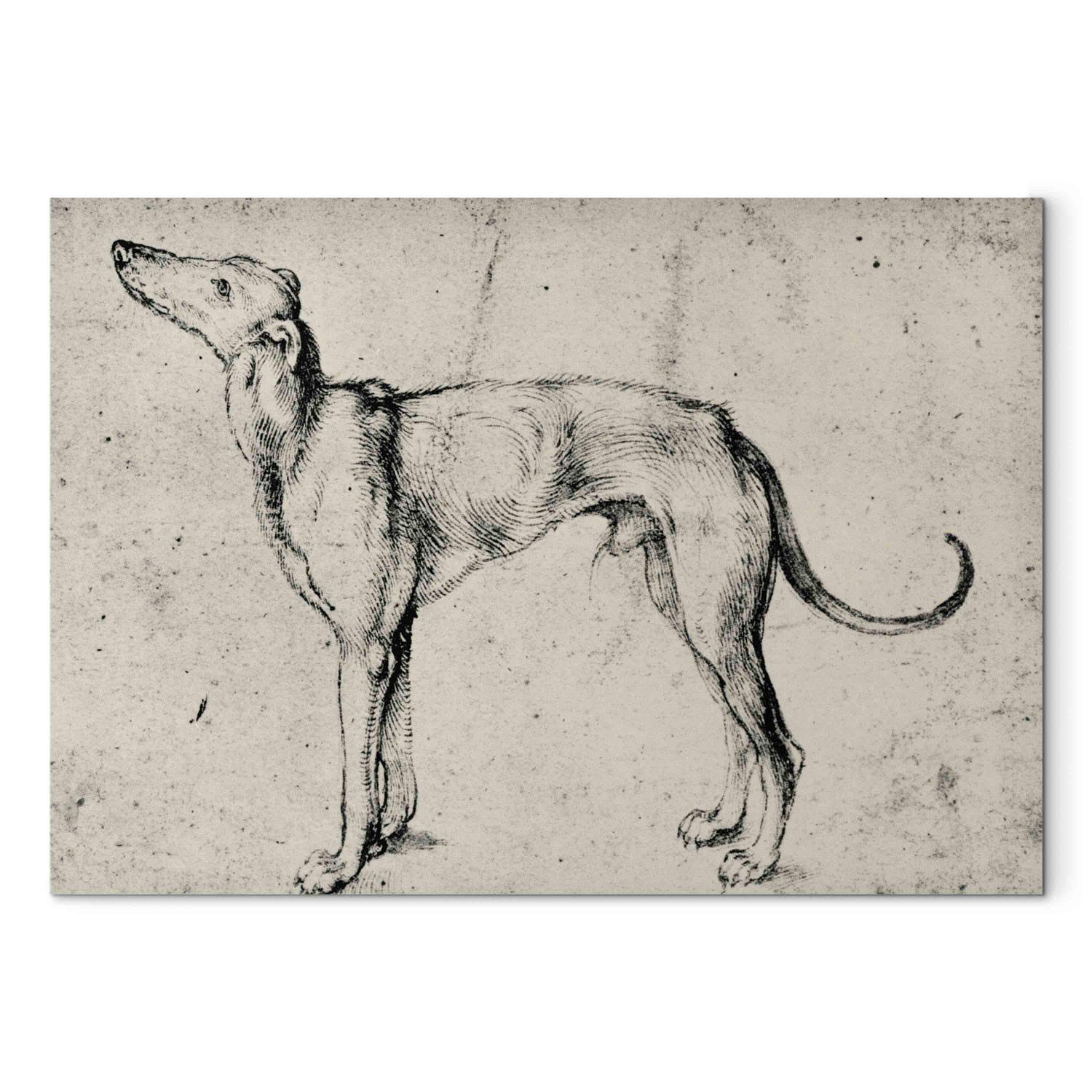 Reproducción de cuadro Greyhound