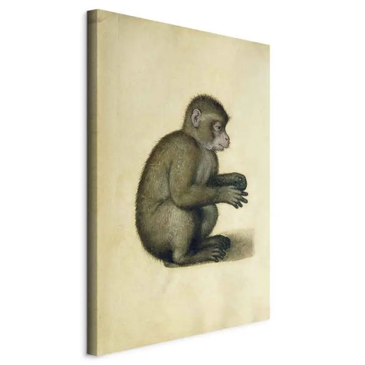 Cuadro famoso Albrecht Dürer - Un mono para pared - tienda bimago