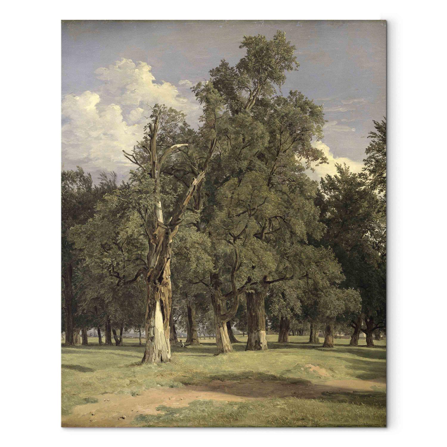 Reproducción de cuadro Elm trees in Prater