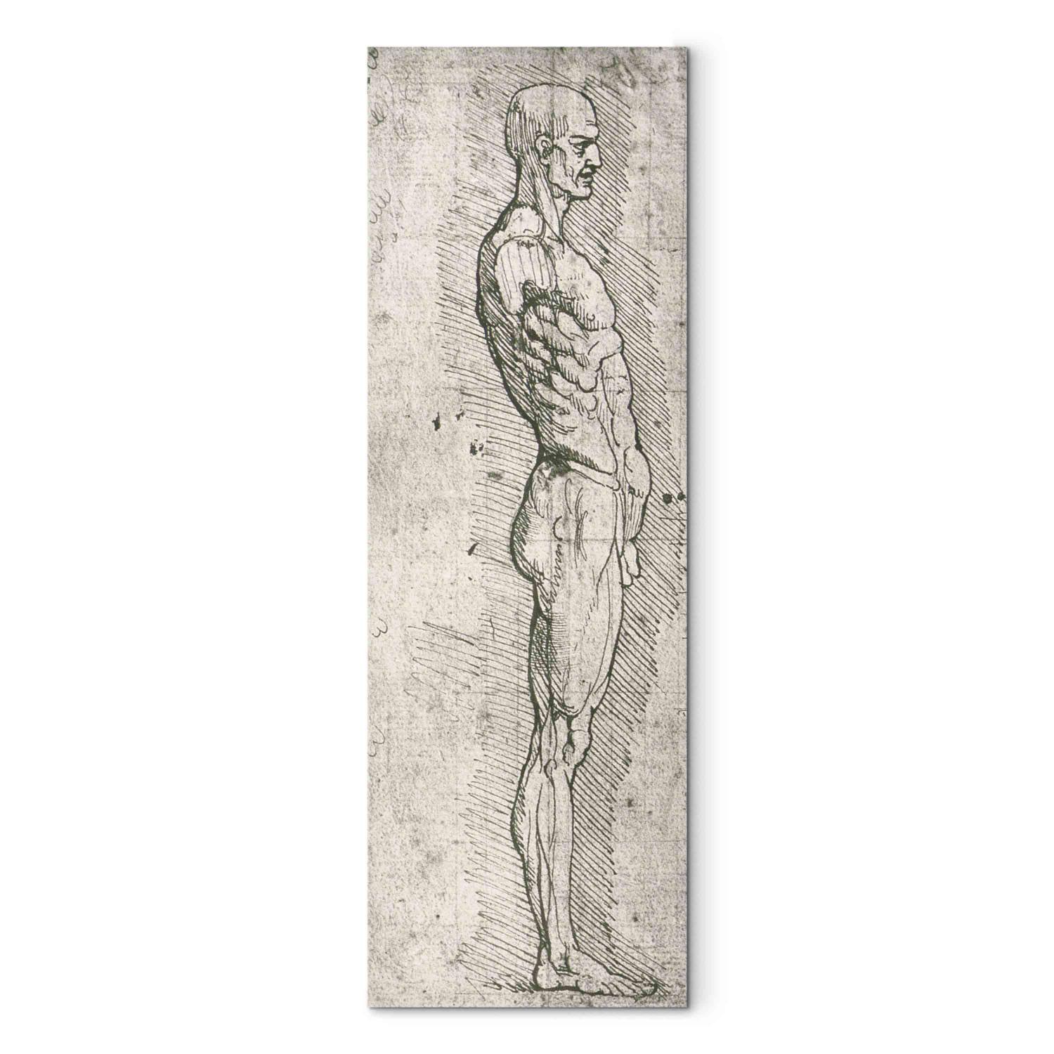 Réplica de pintura Anatomical Study (pen and ink on paper)