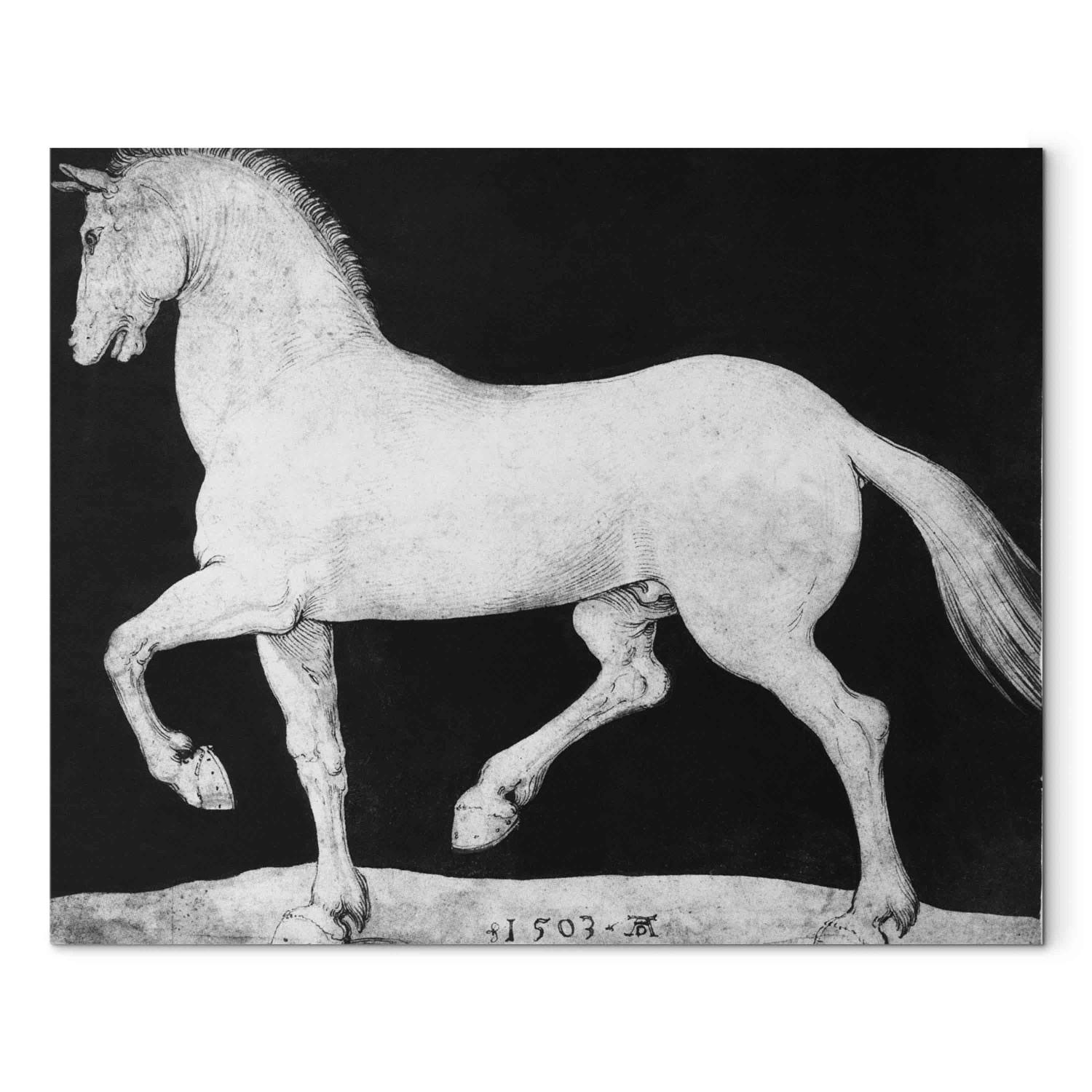 Reproducción de cuadro Horse