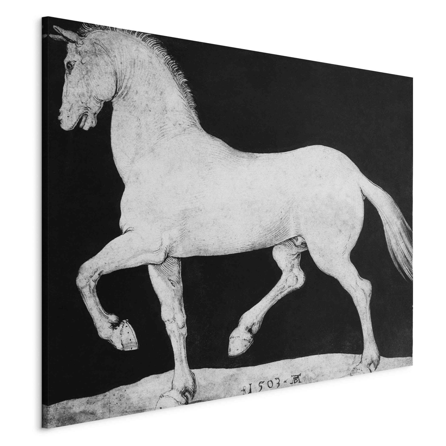 Reproducción de cuadro Horse