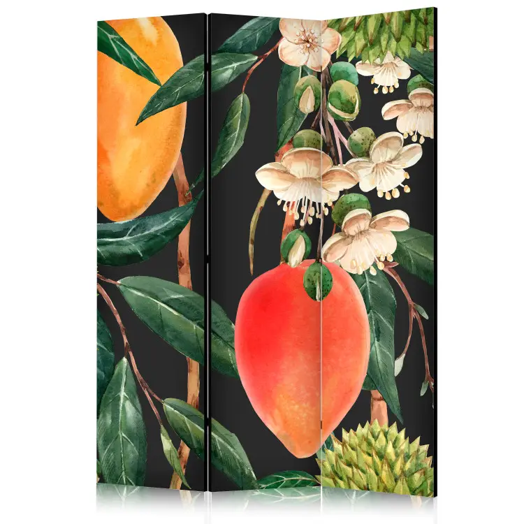 Frutas exóticas - colorida vegetación tropical