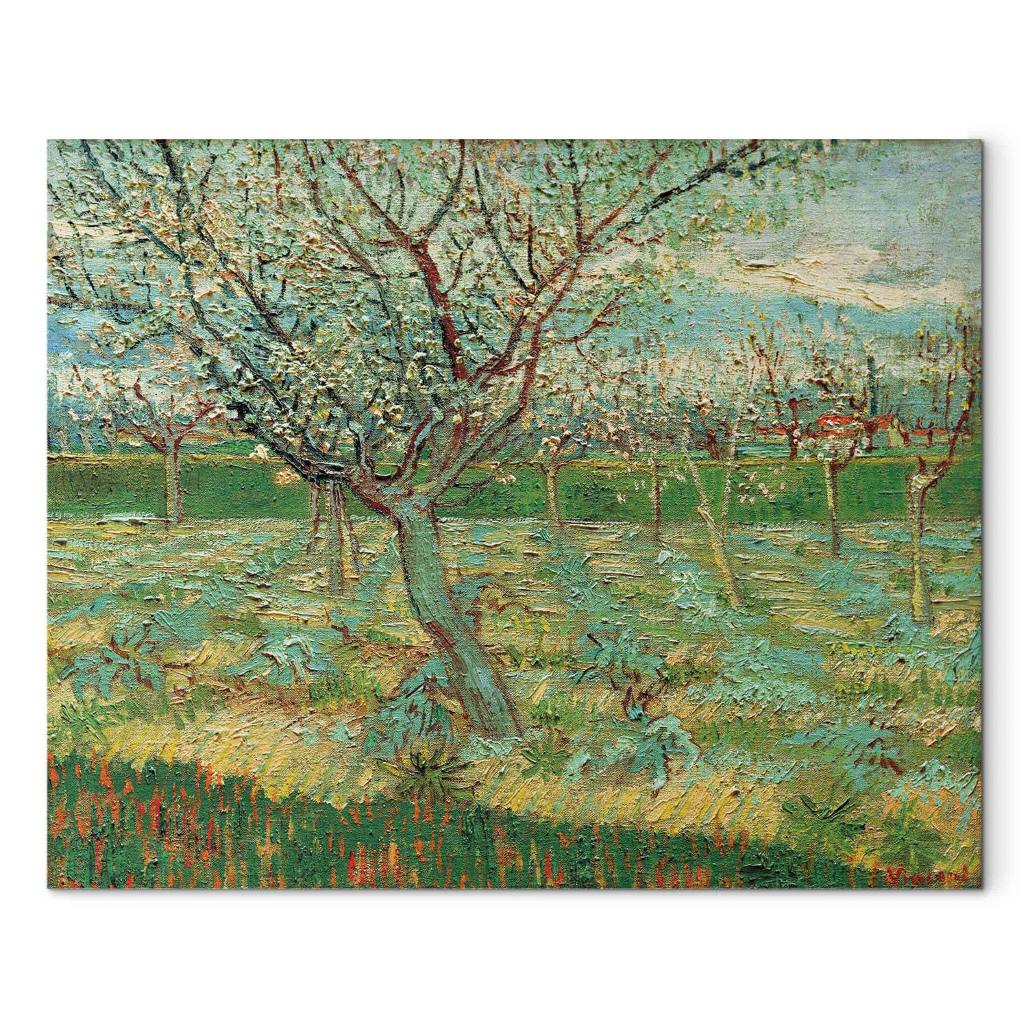 Cuadro famoso Orchard with Apricot Trees in Blossom 